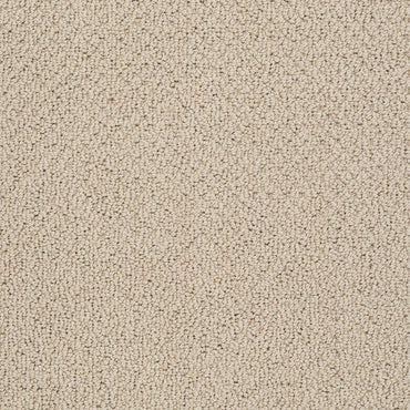 BERBER NYLON LOOP