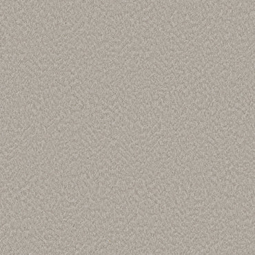 BERBER NYLON LOOP