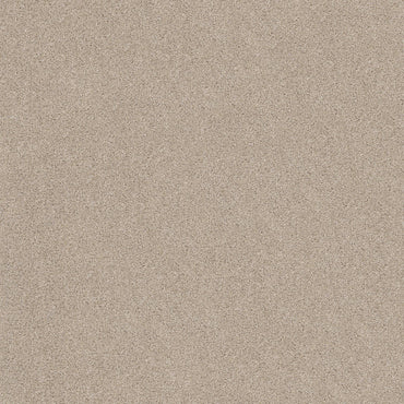 TEXTURE BCF