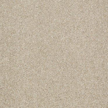 TEXTURE BCF
