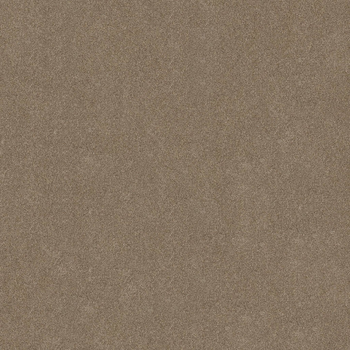 TEXTURE BCF