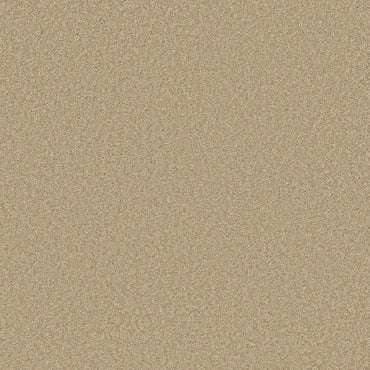TEXTURE BCF