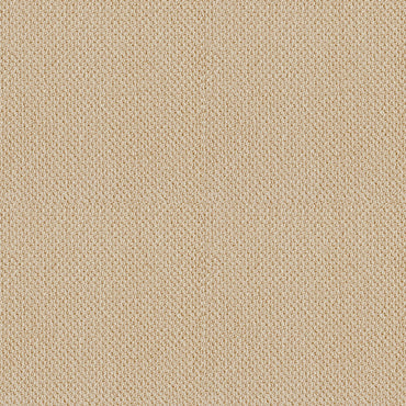 BERBER NYLON LOOP