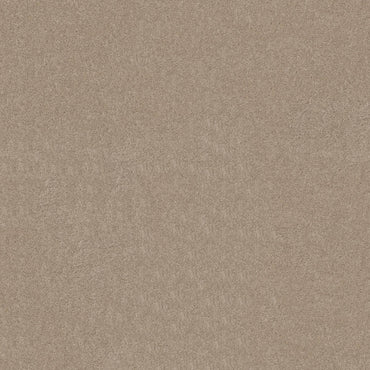 TEXTURE BCF