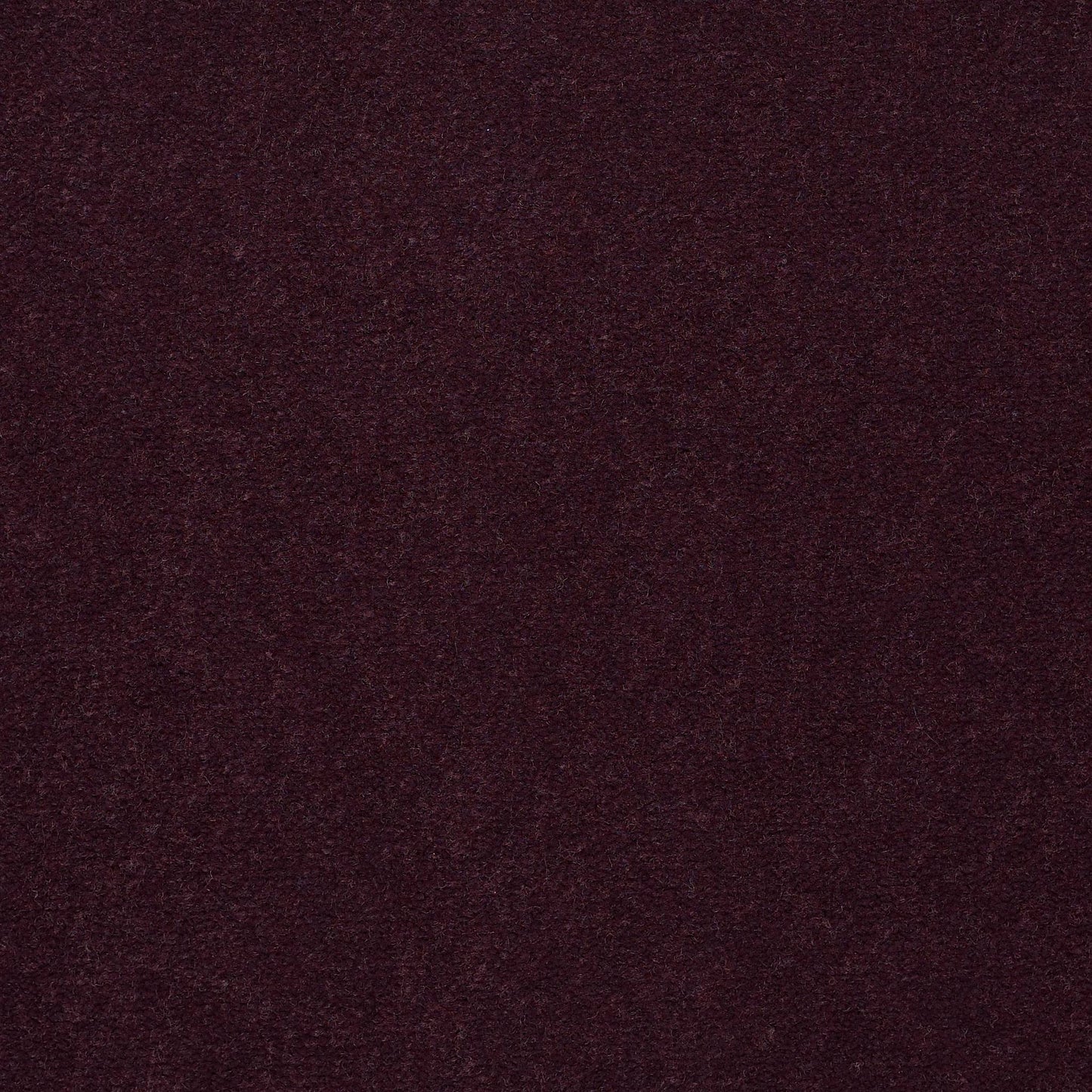 CUT PILE SOLID