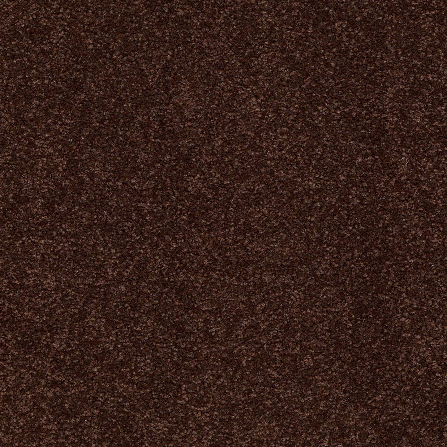 TEXTURE BCF
