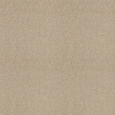 TEXTURE BCF