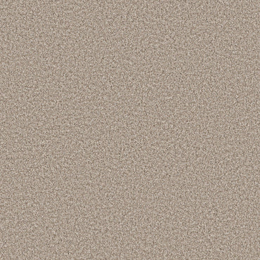 TEXTURE BCF