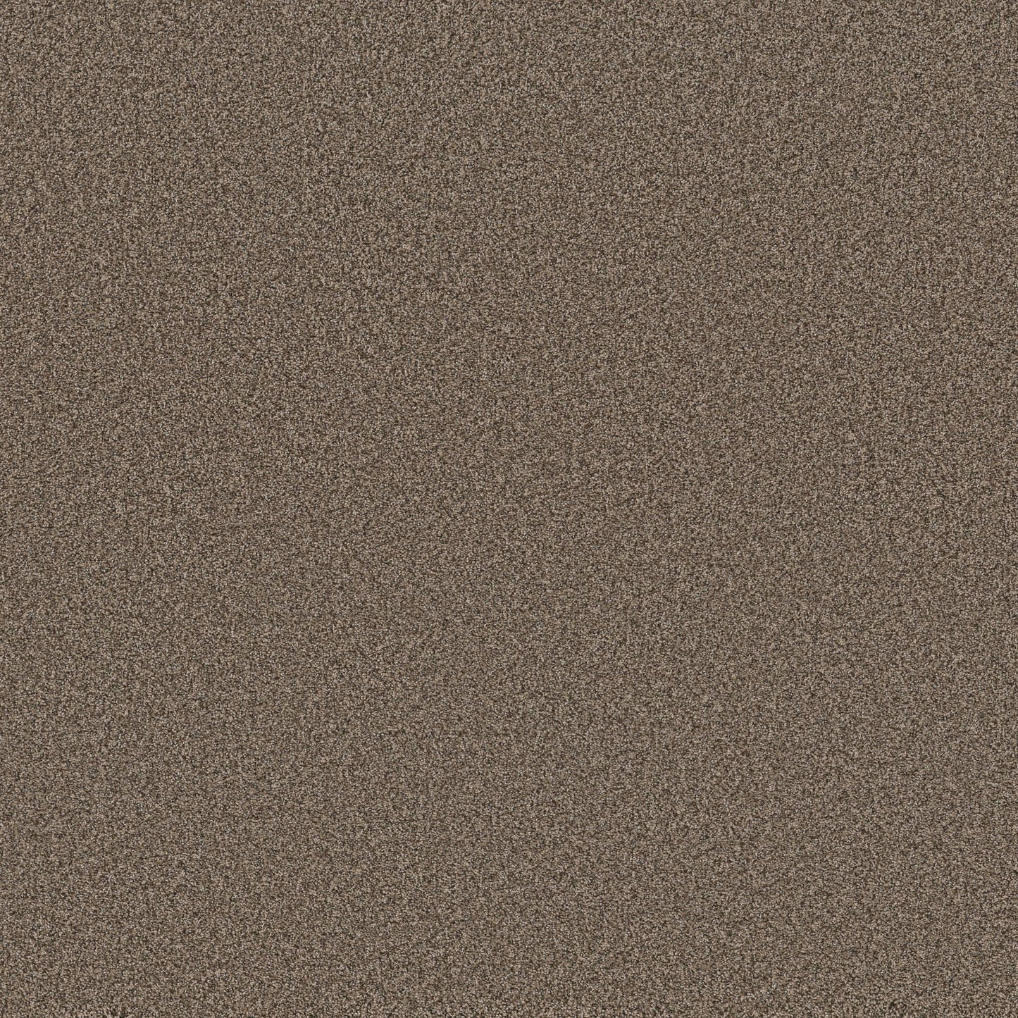 TEXTURE BCF