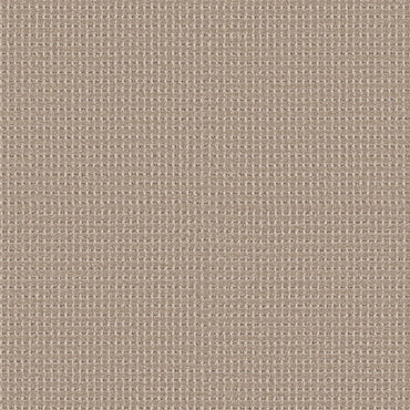 BERBER NYLON LOOP