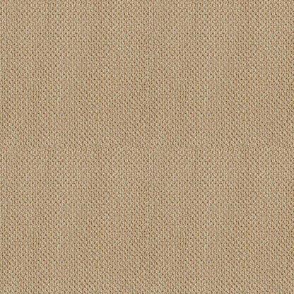 BERBER NYLON LOOP