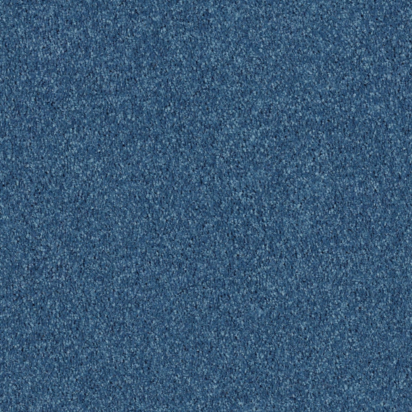 PET BCF