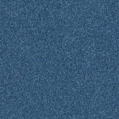 PET BCF