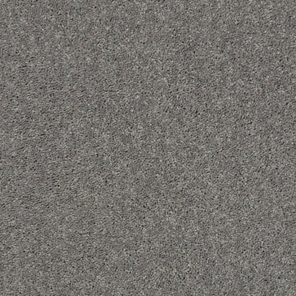 PET BCF