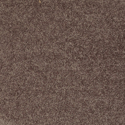 PET BCF