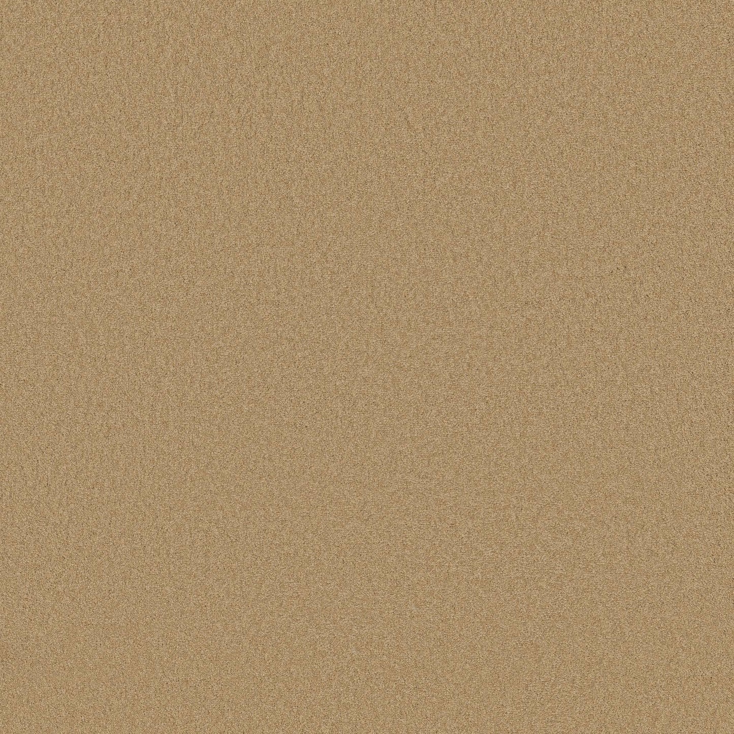 TEXTURE BCF
