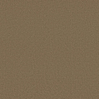 TEXTURE BCF