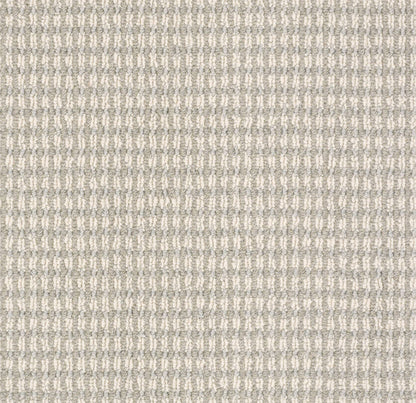 SDN LOOP