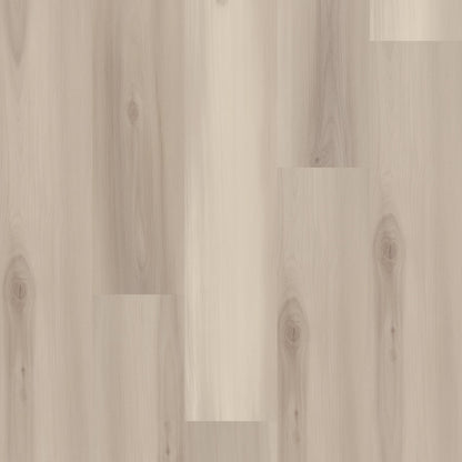 WPC