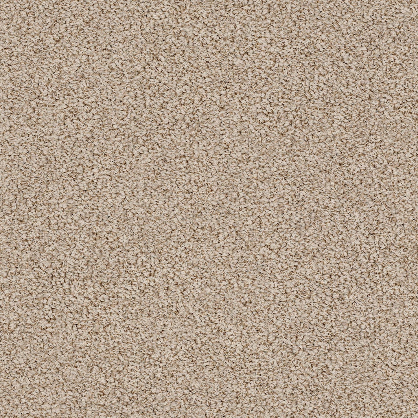 BERBER NYLON LOOP