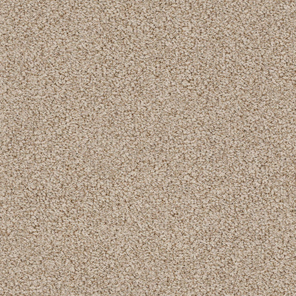 BERBER NYLON LOOP