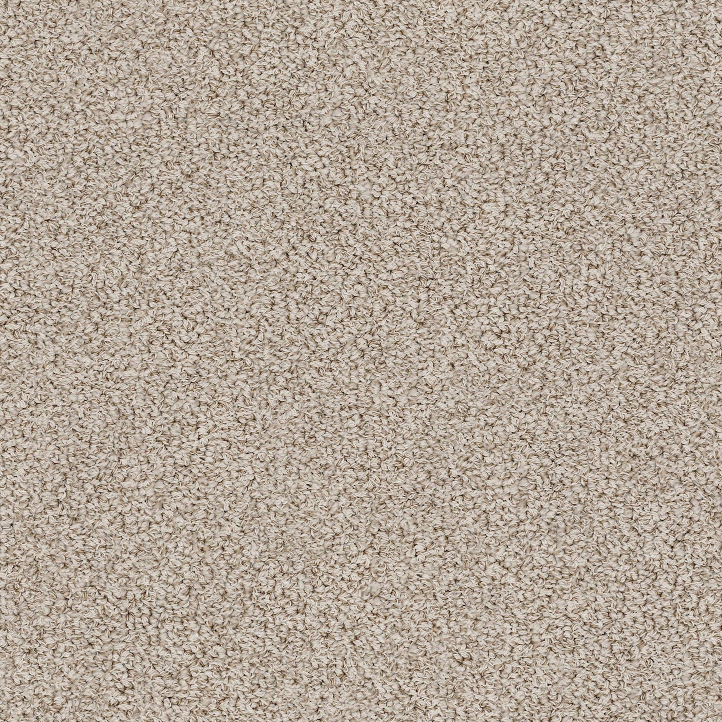 BERBER NYLON LOOP