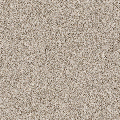 BERBER NYLON LOOP
