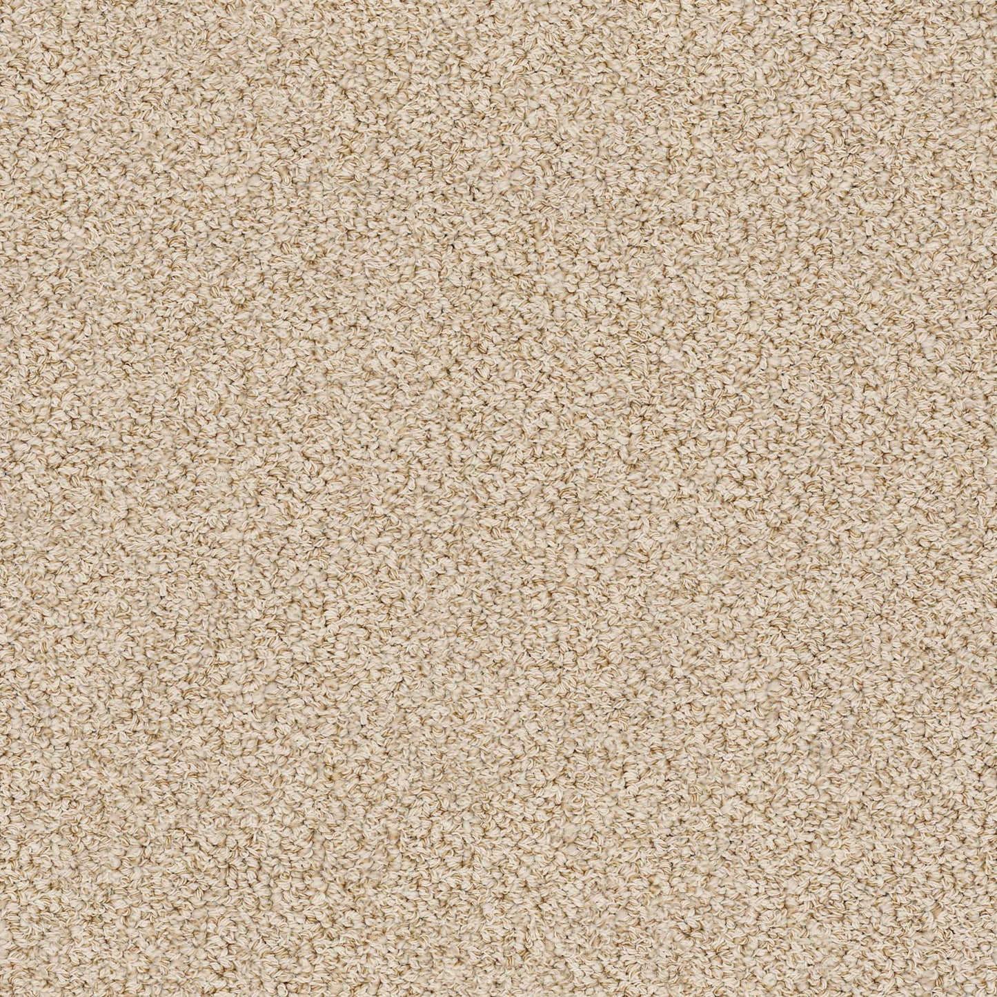 BERBER NYLON LOOP
