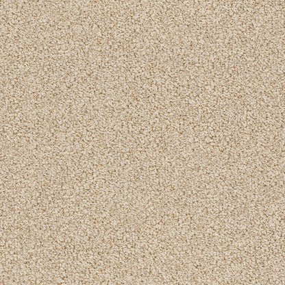 BERBER NYLON LOOP