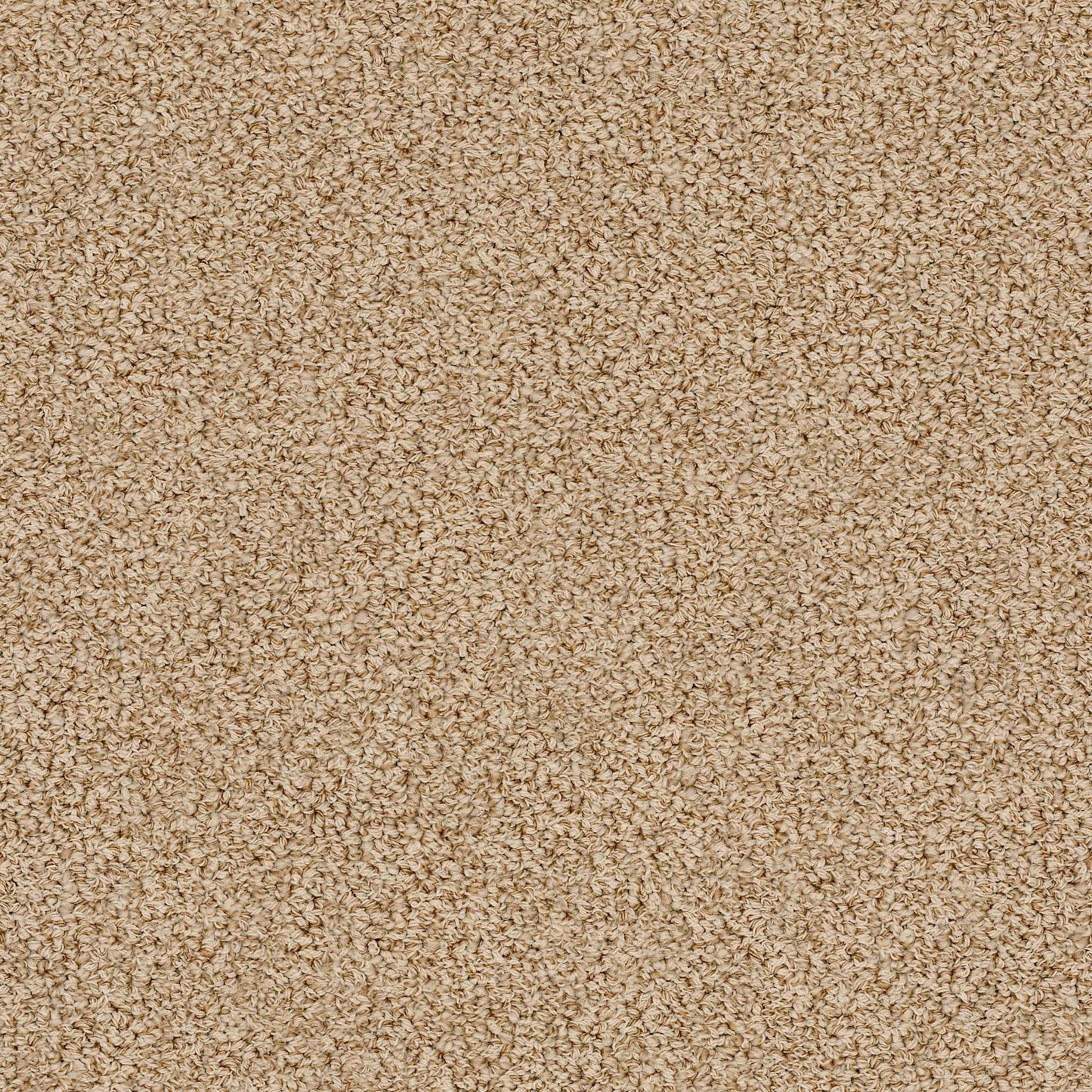 BERBER NYLON LOOP