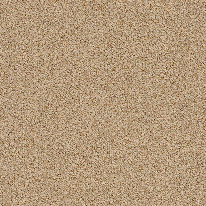 BERBER NYLON LOOP