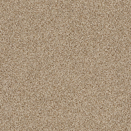 BERBER NYLON LOOP