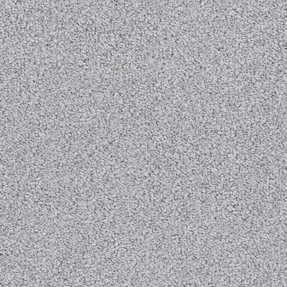 BERBER NYLON LOOP