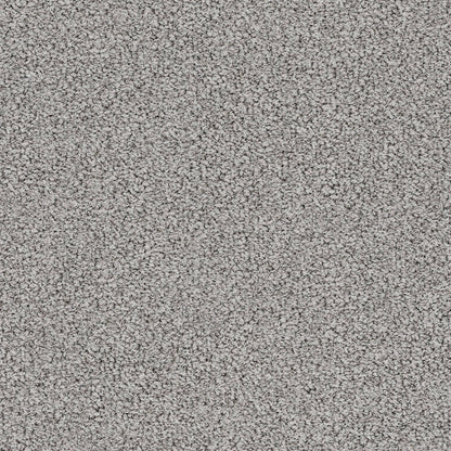 BERBER NYLON LOOP