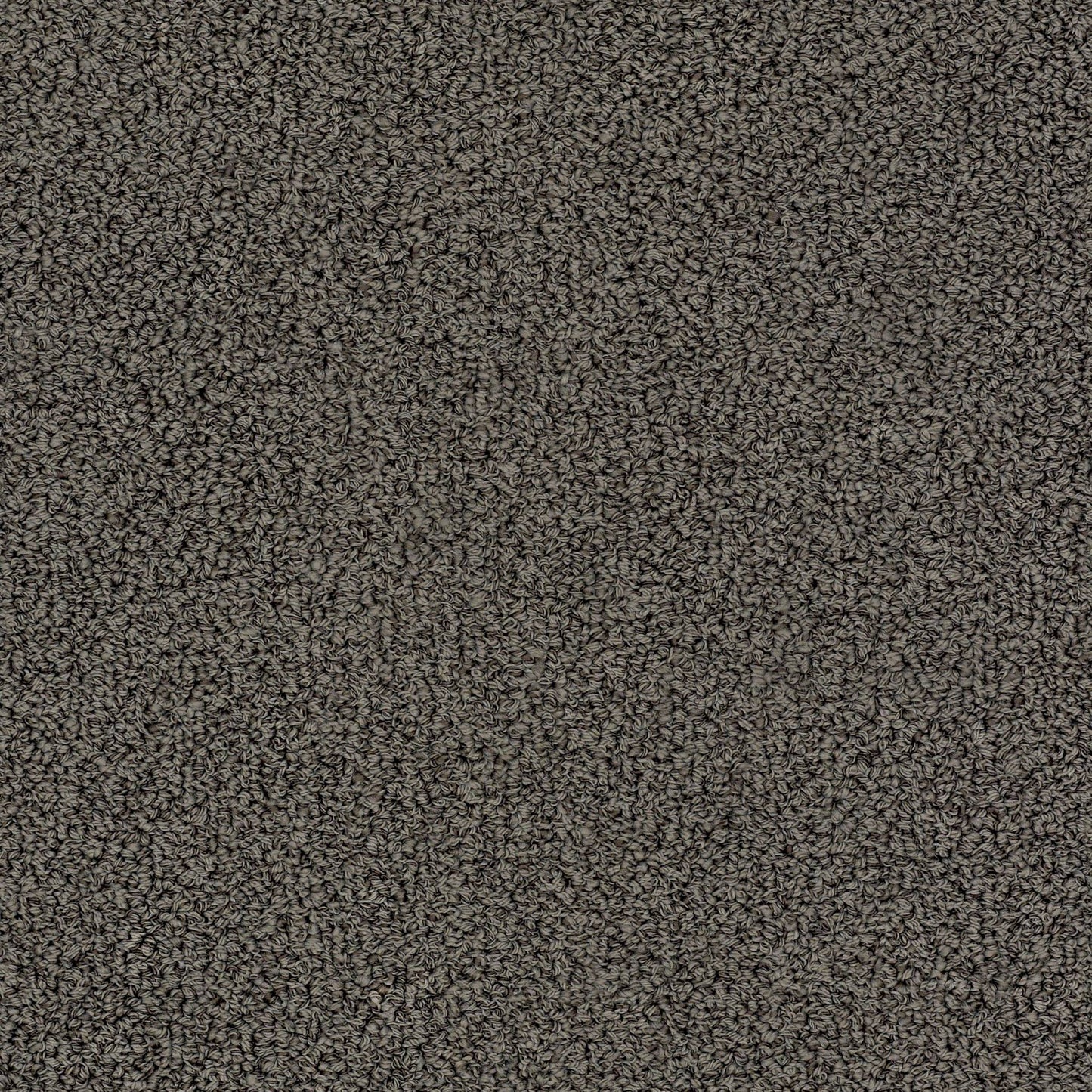 BERBER NYLON LOOP