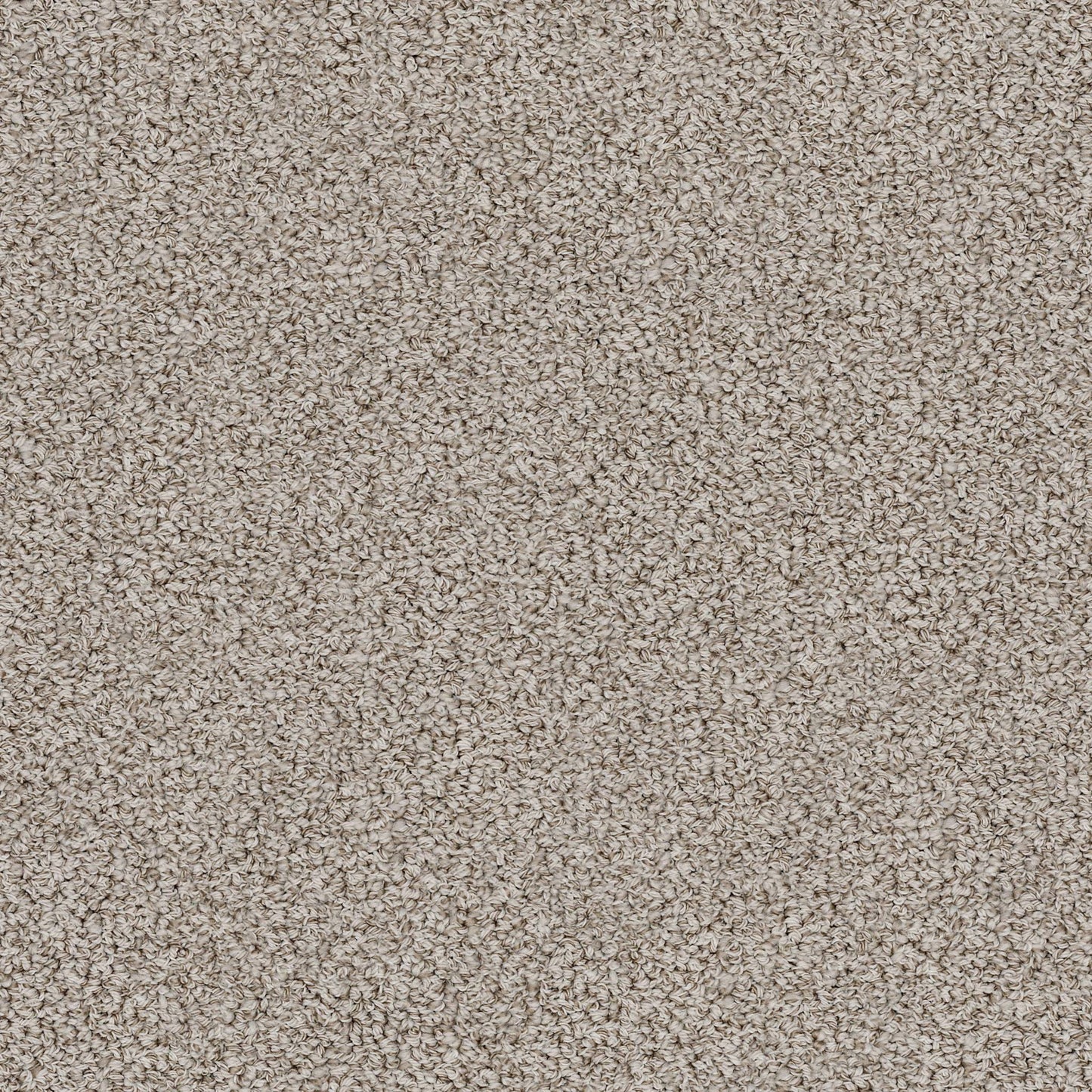 BERBER NYLON LOOP