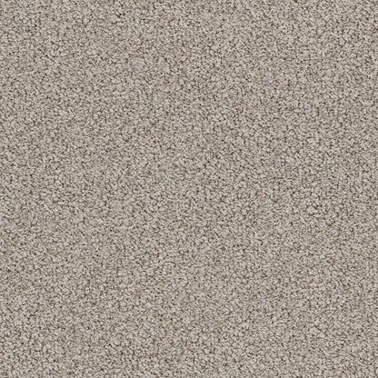 BERBER NYLON LOOP