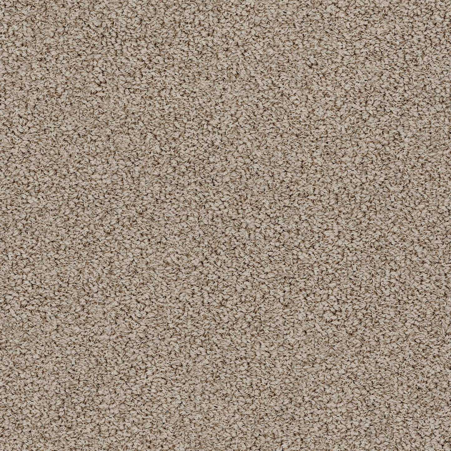 BERBER NYLON LOOP