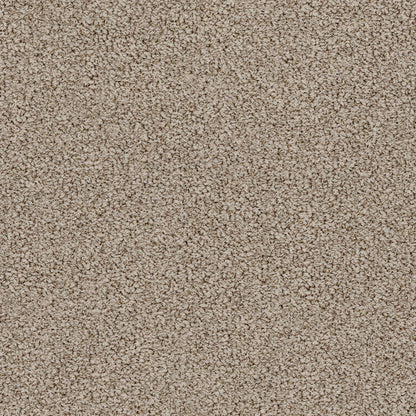 BERBER NYLON LOOP