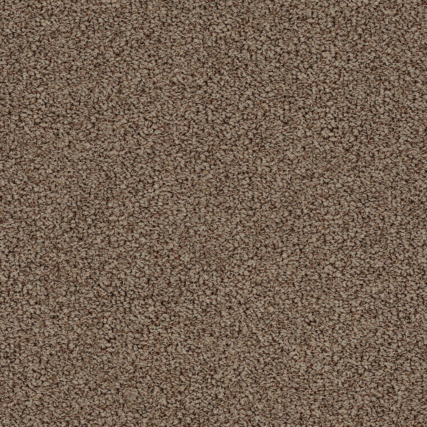 BERBER NYLON LOOP