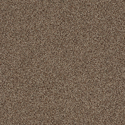 BERBER NYLON LOOP