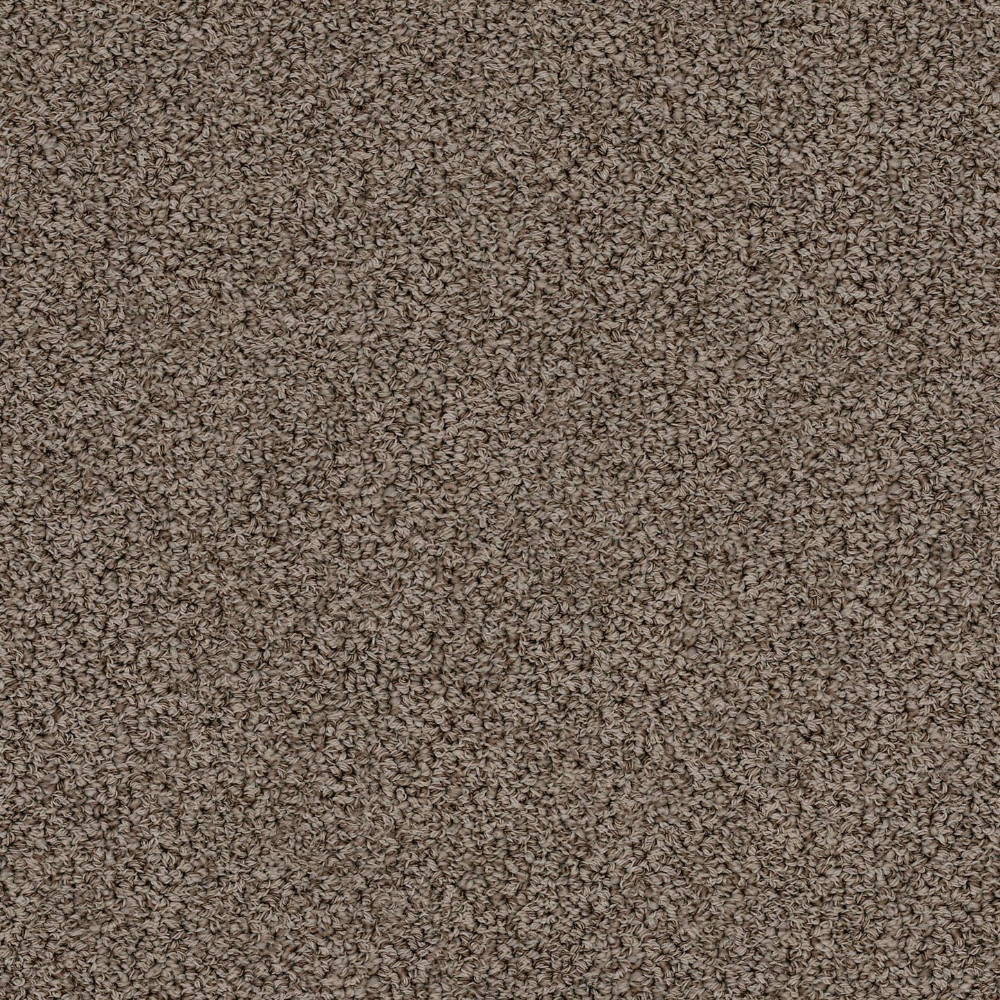 BERBER NYLON LOOP