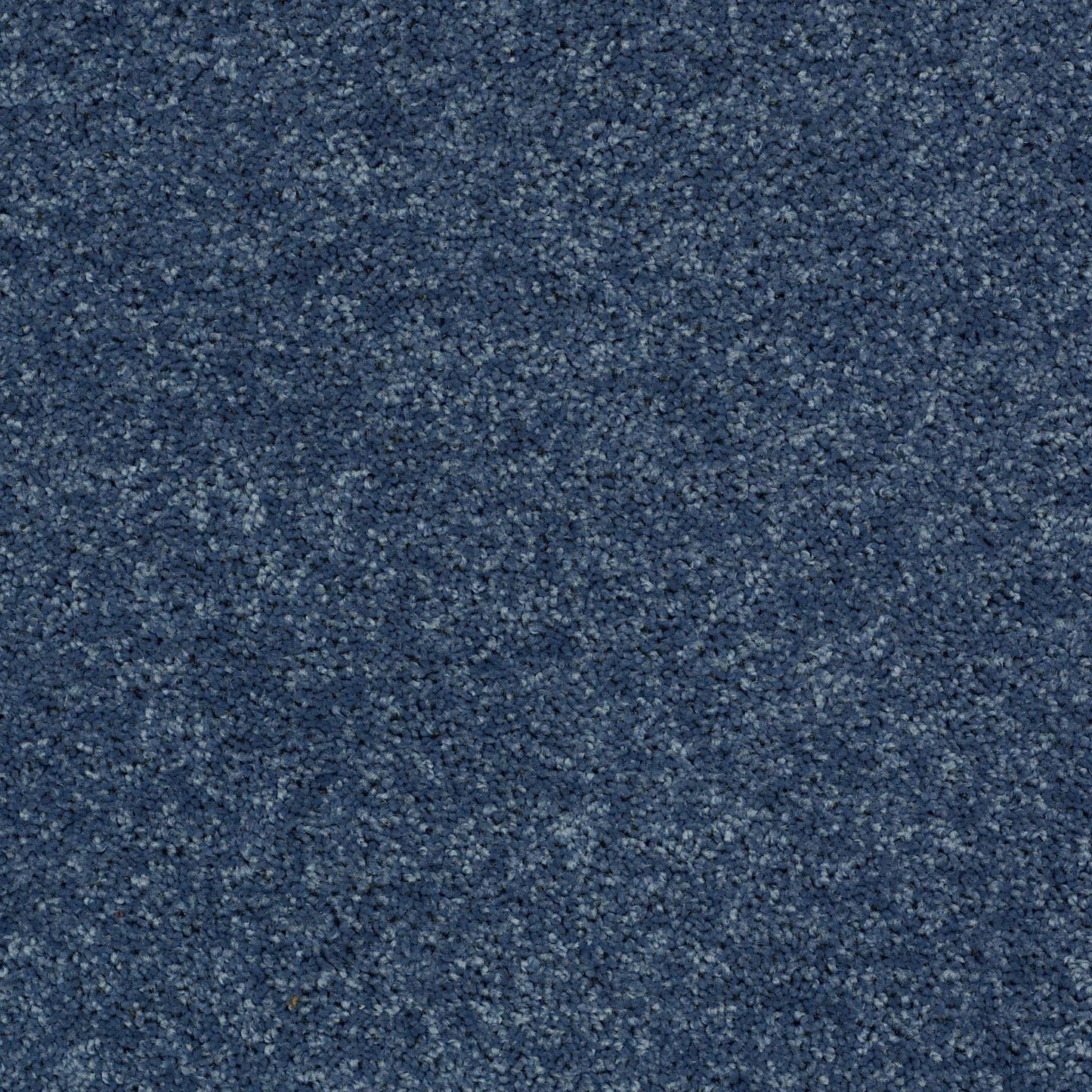 PET BCF