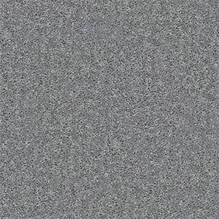 PET BCF