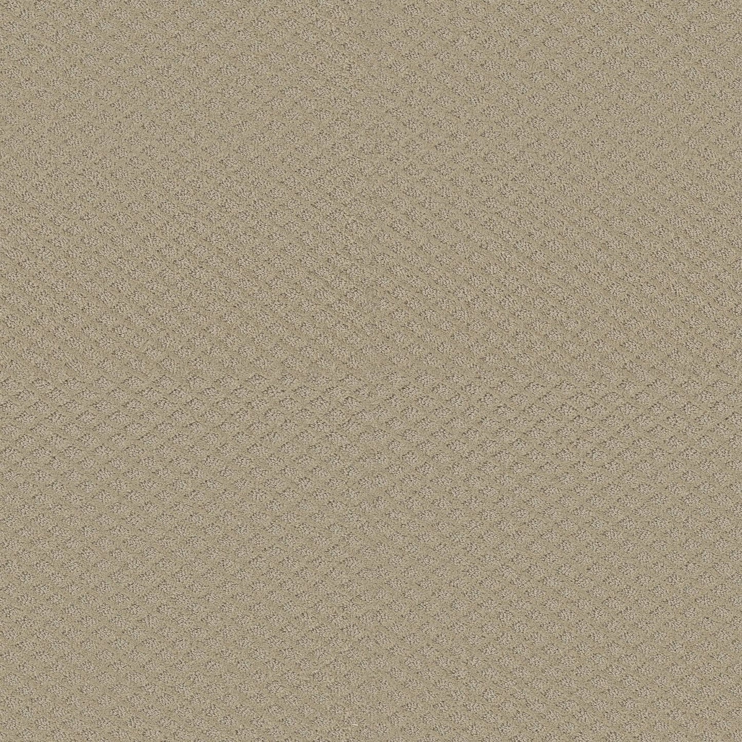 CUT UNCUT  R