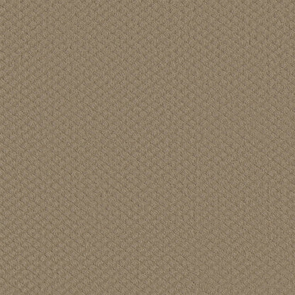 CUT UNCUT  R