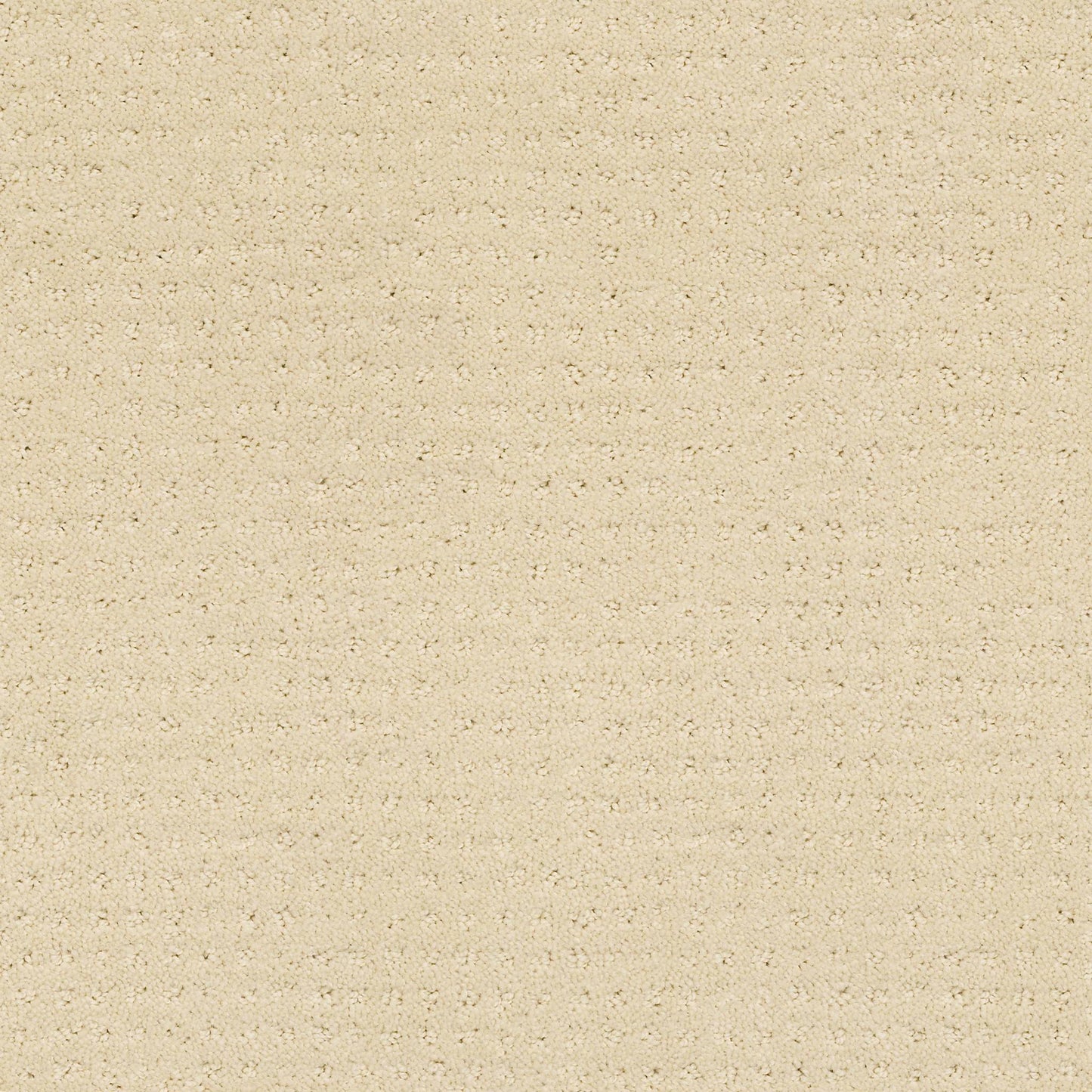 CUT UNCUT  R