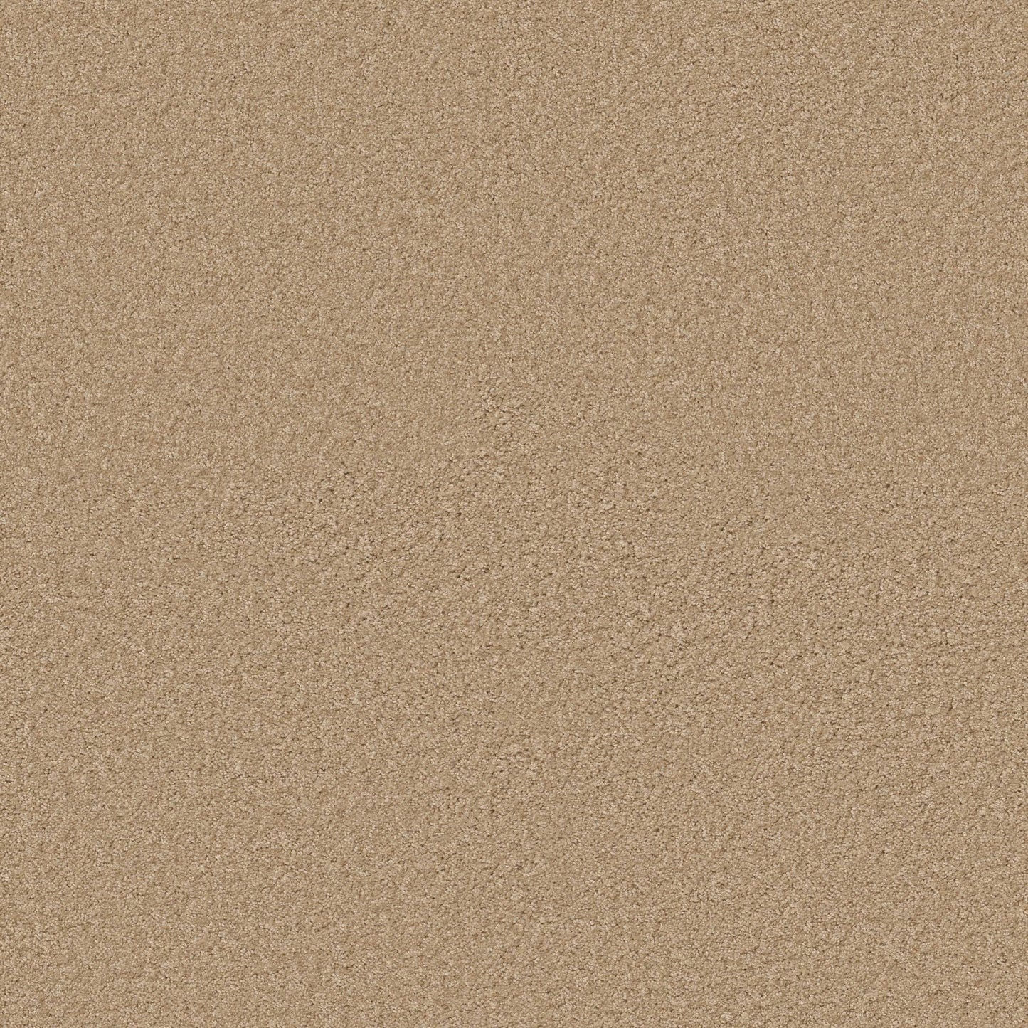 TEXTURE BCF