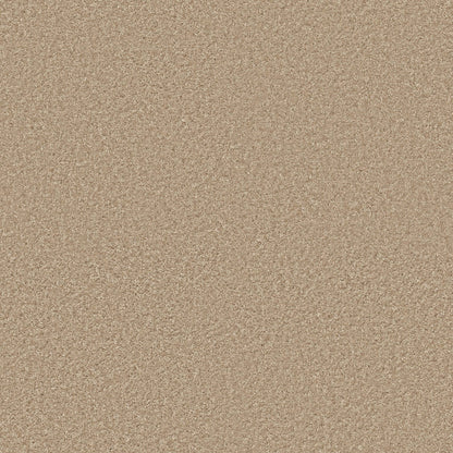 TEXTURE BCF
