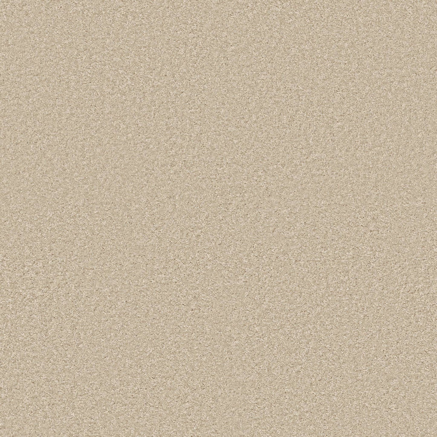 TEXTURE BCF